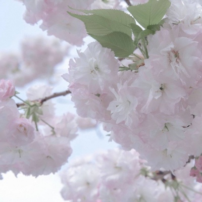 兽设黄昏场景设计兽圈社群